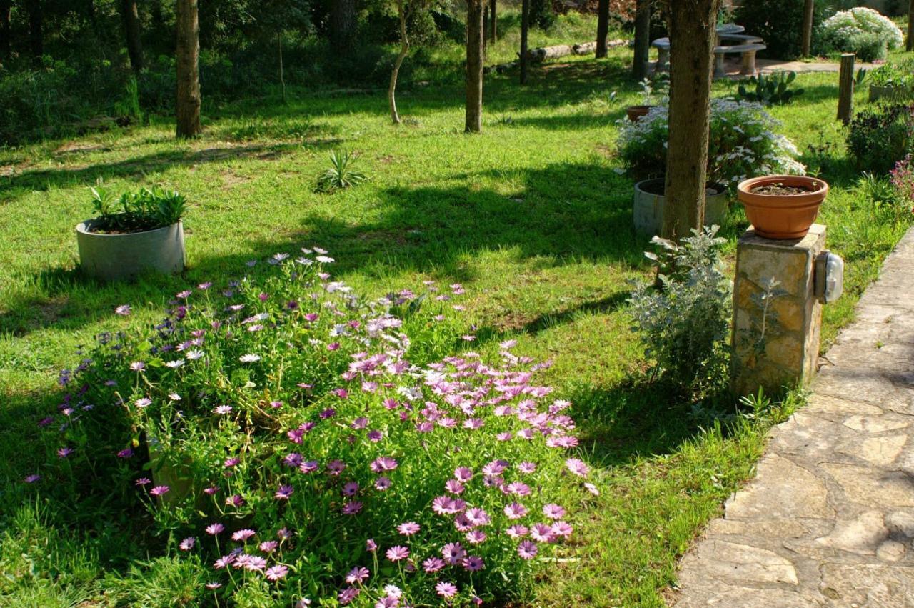 Apartments By The Sea Novalja, Pag - 4052 외부 사진